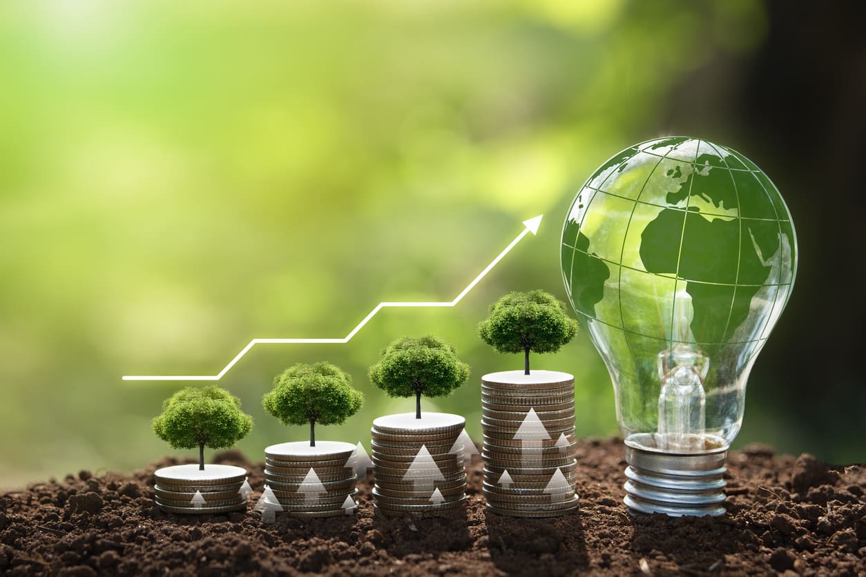 Our Solutions